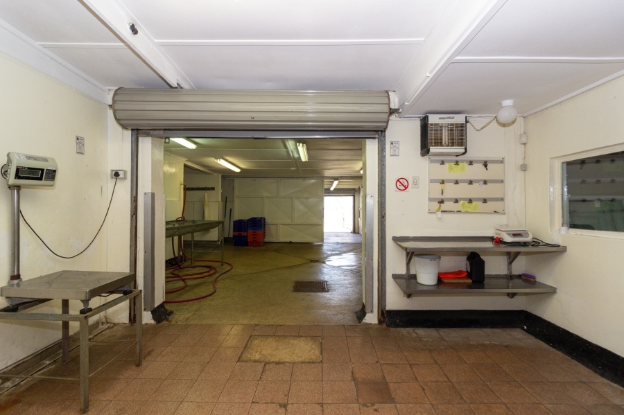 To Let commercial Property for Rent in Korsten Eastern Cape
